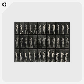 3-5_Eadweard-Muybridge_postcard