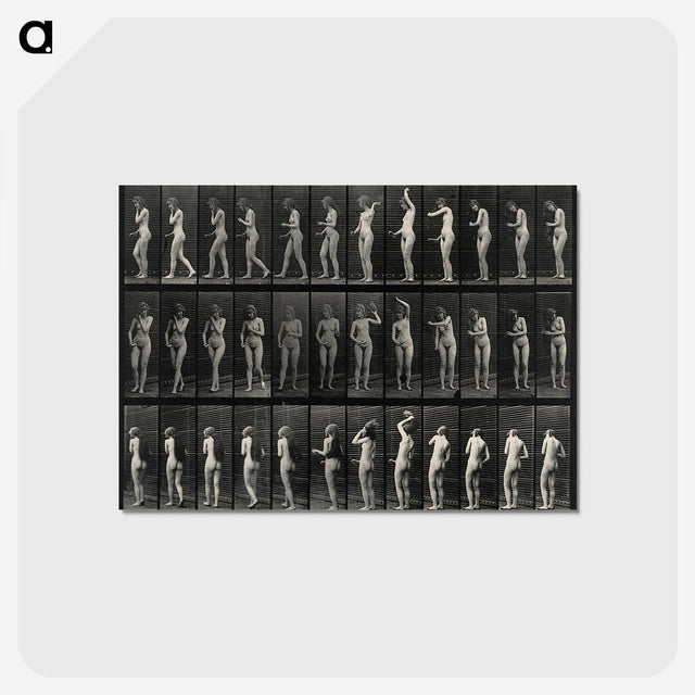 3-5_Eadweard-Muybridge_postcard