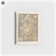 3-5_Ernst-Haeckel_memo