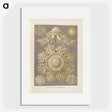 3-5_Ernst-Haeckel_picture