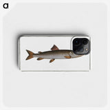 3-5_Ichtyologie-ou-Histoire-naturelle_phone