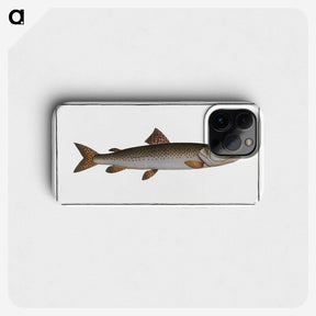3-5_Ichtyologie-ou-Histoire-naturelle_phone