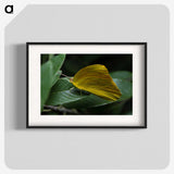 3-5_Insects-Unlocked-Project_blk