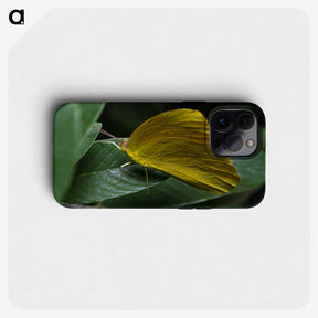 3-5_Insects-Unlocked-Project_phone