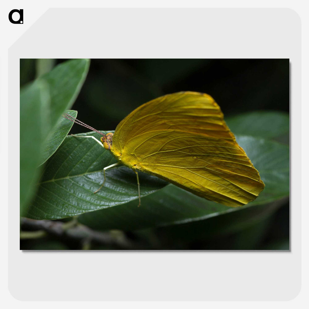 3-5_Insects-Unlocked-Project_picture-crop