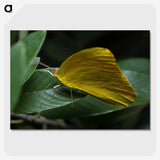 3-5_Insects-Unlocked-Project_picture-crop