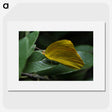 3-5_Insects-Unlocked-Project_picture