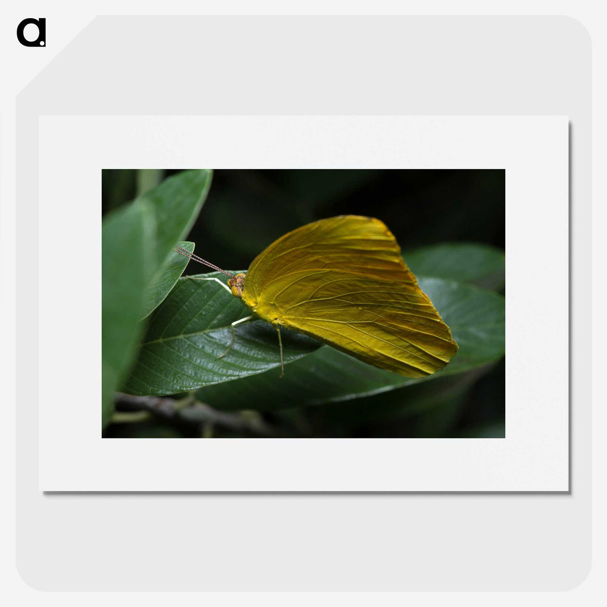 3-5_Insects-Unlocked-Project_picture