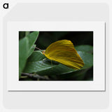 3-5_Insects-Unlocked-Project_picture
