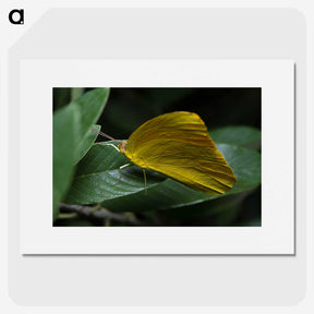 3-5_Insects-Unlocked-Project_picture