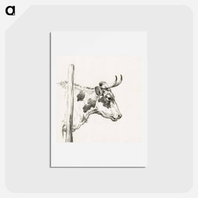 アートポストカード-Head of a cow, to the right - ジャン ベルナール Postcard.