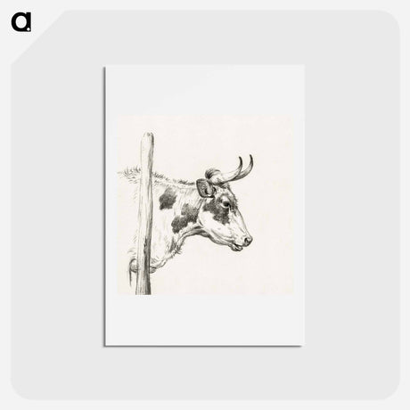 アートポストカード-Head of a cow, to the right - ジャン ベルナール Postcard.