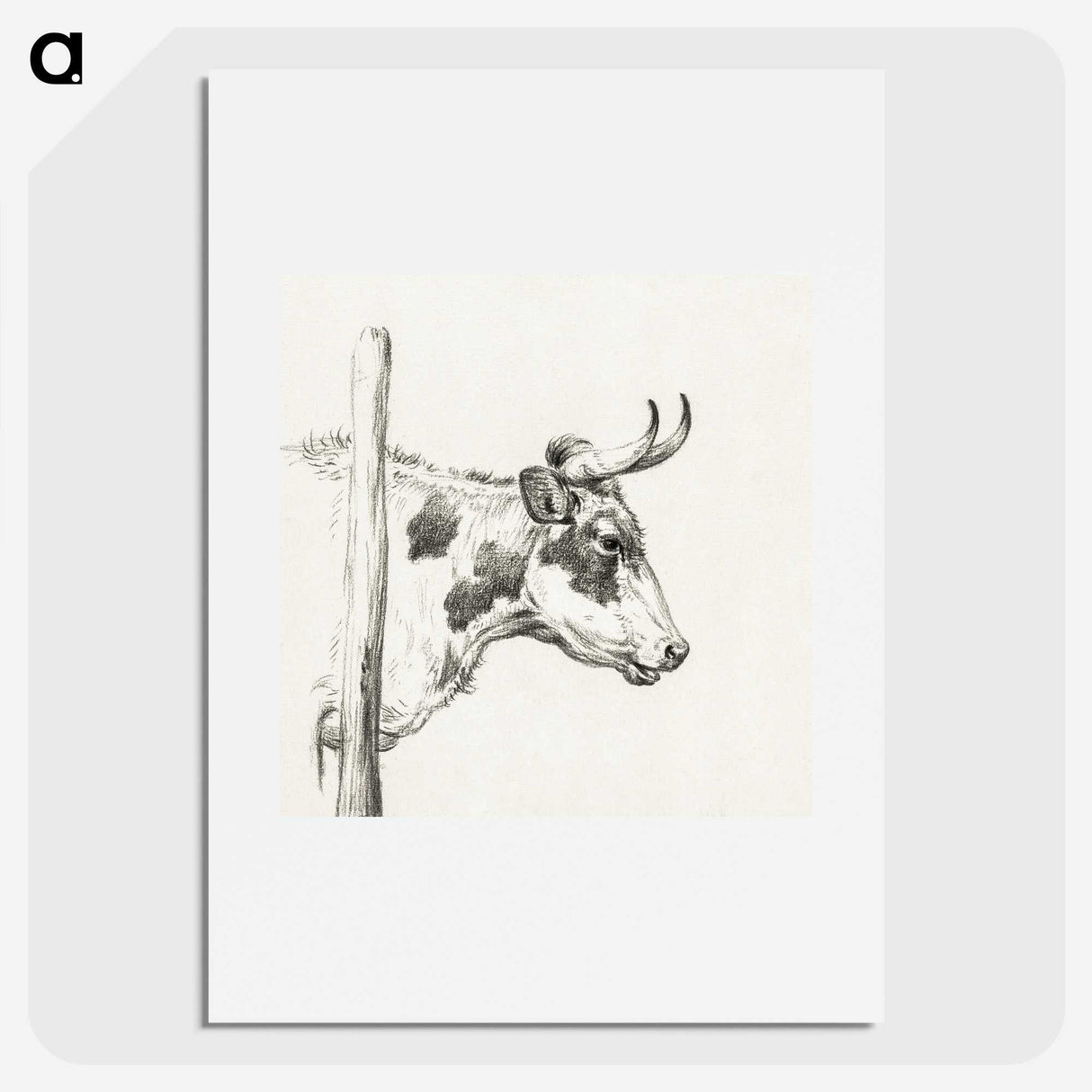 3-5_Jean-Bernard_picture