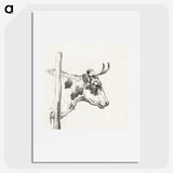 3-5_Jean-Bernard_picture