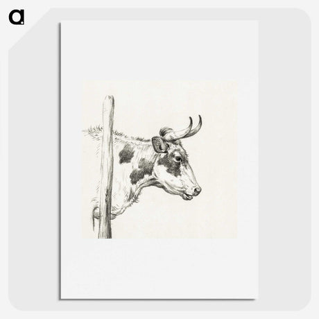 3-5_Jean-Bernard_picture
