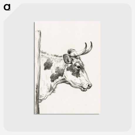 アートポストカード-Head of a cow, to the right - ジャン ベルナール Postcard.