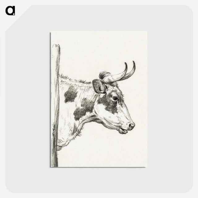3-5_Jean-Bernard_postcard