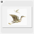 3-5_Johan-Teyler_picture