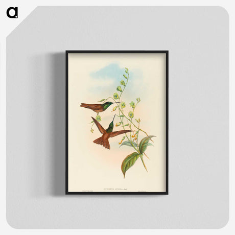 3-5_John-Gould_blk-crop