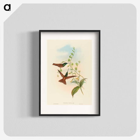 3-5_John-Gould_blk