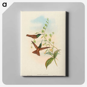 3-5_John-Gould_canvas