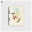 3-5_John-Gould_memo
