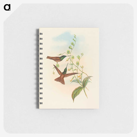 3-5_John-Gould_memo