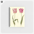 3-5_Maria-Sibylla-Merian_memo