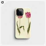 3-5_Maria-Sibylla-Merian_phone