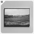 3-5_Marion-Post-Wolcott_canvas