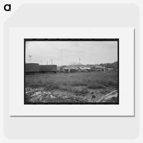 3-5_Marion-Post-Wolcott_picture