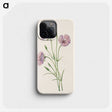 3-5_Mary-Vaux-Walcott_phone