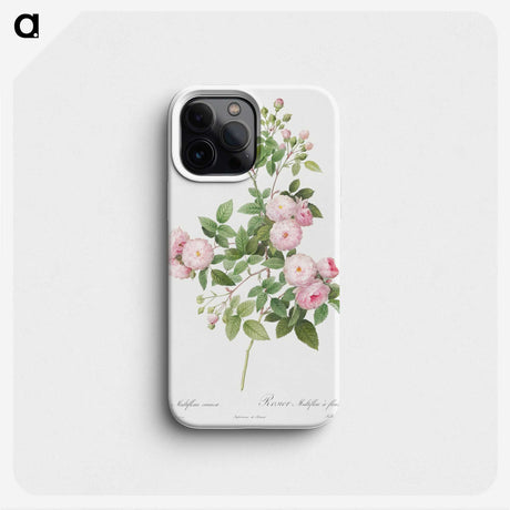 3-5_Pierre-Joseph-Redoute_phone