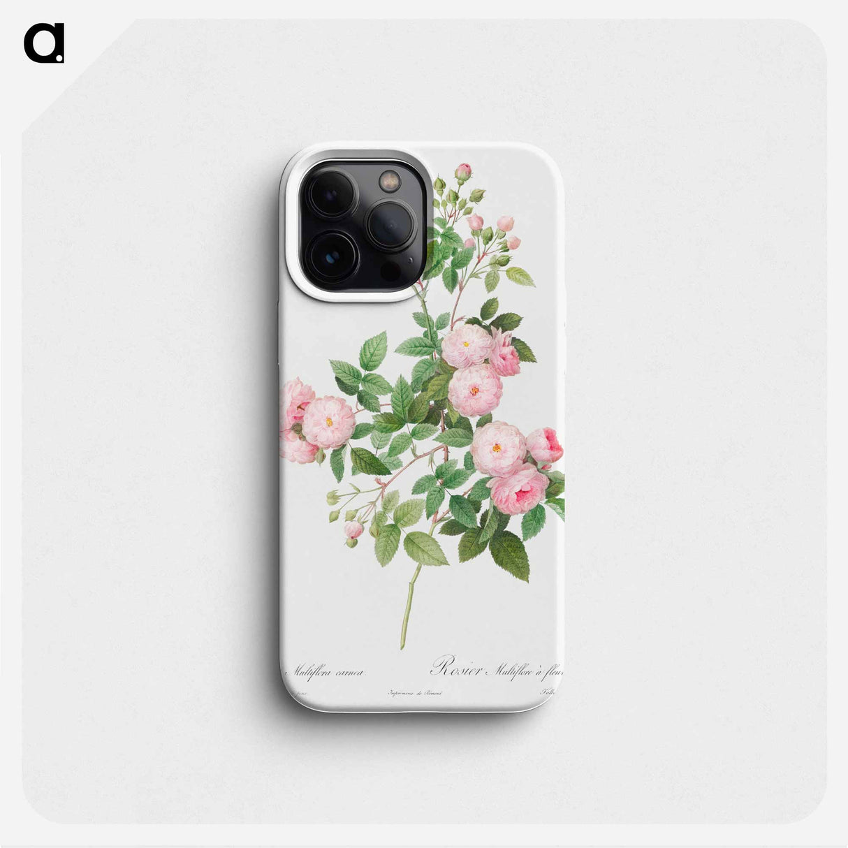 Flesh-Pink Multiflora - ピエール ジョゼフ ルドゥーテ Phone Case.