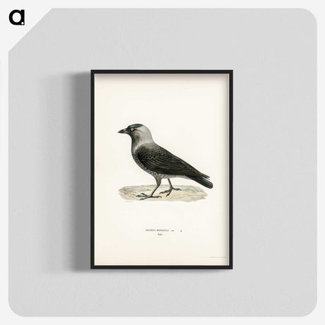 3-5_Svenska-Faglar_blk-crop