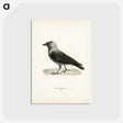 3-5_Svenska-Faglar_postcard