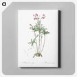 3-5_The-Lilies_canvas