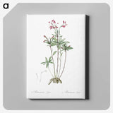 3-5_The-Lilies_canvas