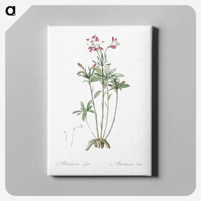 3-5_The-Lilies_canvas