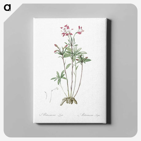 3-5_The-Lilies_canvas