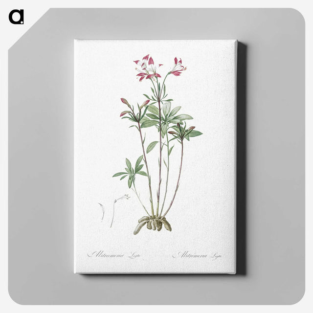 3-5_The-Lilies_canvas