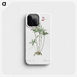 3-5_The-Lilies_phone