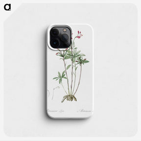 3-5_The-Lilies_phone