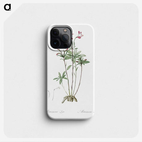 3-5_The-Lilies_phone