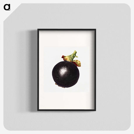 3-5_USDA-Watercolor-Fruit-Painting-Collection_blk