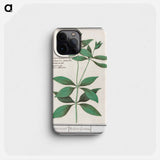 Silk plant, Asclepias syriaca - アンセルムス ボエティウス デ ブート Phone Case.
