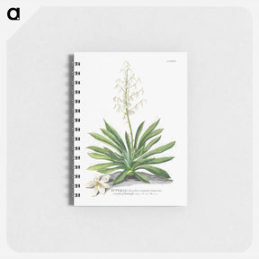 アートメモ帳-Yucca
 - クリーブランド美術館 Memo.