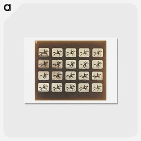 アートポストカード-Running (Galloping)
 - エドワード マイブリッジ Postcard.
