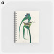 アートメモ帳-Vigors Vireo from Birds of America
 - アメリカの鳥たち Memo.