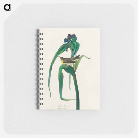 アートメモ帳-Vigors Vireo from Birds of America
 - アメリカの鳥たち Memo.